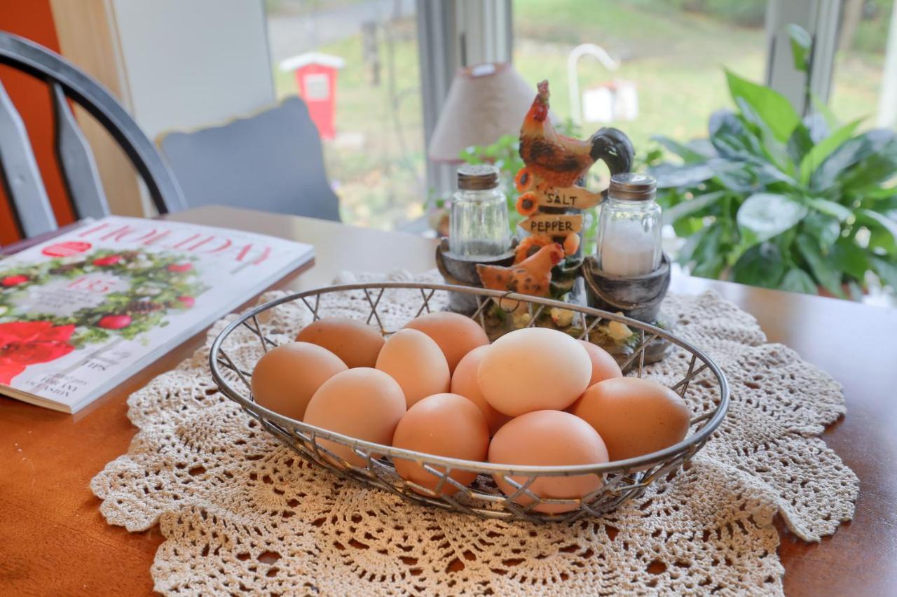 Hammer Creek Hideaway B&B Lititz Εξωτερικό φωτογραφία